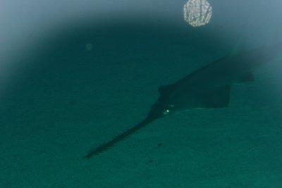 IMG_0073.JPG