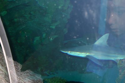 IMG_0079.JPG