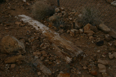 vf141.jpg