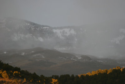 164.jpg