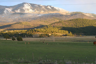 167.jpg