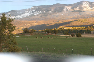 171.jpg