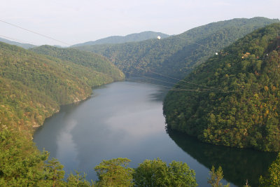 175.jpg
