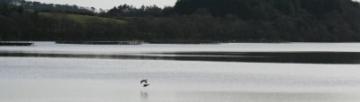 Loch Fad