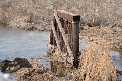 Abandoned Bridge Support