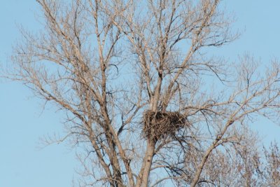 Eagles's Nest