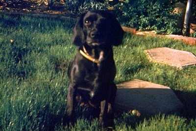 g6/10/702910/3/69211390.QVdaGNy6.jpg
