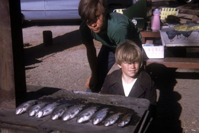 1970 WD Fish.jpg