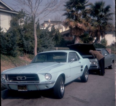 1975 David Mustang.jpg