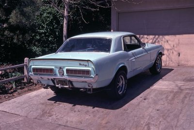 1978 Davids Mustang.jpg