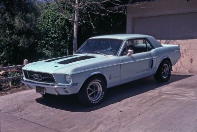 1978 Davids Mustang 2.jpg