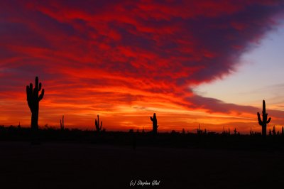 Sunset in the Desert (2)