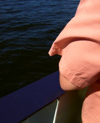 Elbow breeze