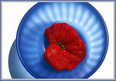 Fifth    Fraise bol bleu.jpg