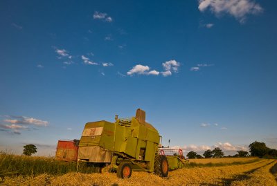 tenth - Harvesting in the dying embers of the day