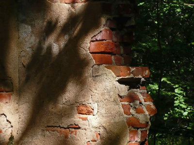 Brick Wall and Shadows