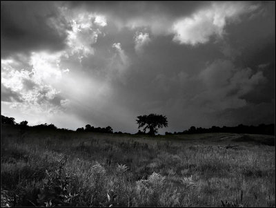 Fifth Place: break in the  storm