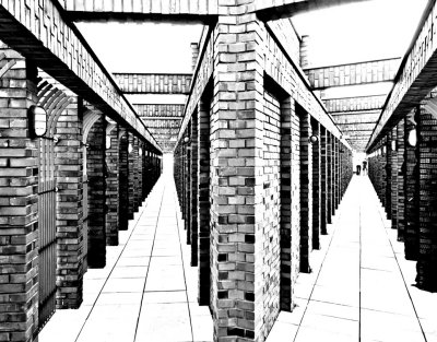 new perspectives