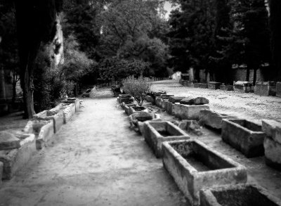 Alyscamp d'Arles