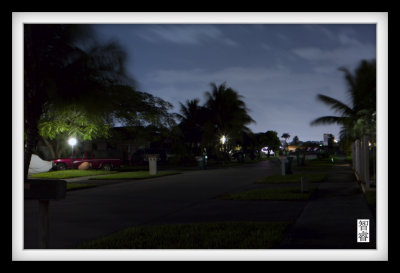 The Lights of the City
