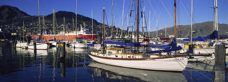  Lyttelton inner harbour marina, Canterbury, New Zealand