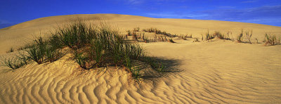 Te Paki sand dunes, Northland, New Zealand