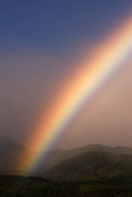 Rainbow near Turangi, Lake Taupo, New Zealand