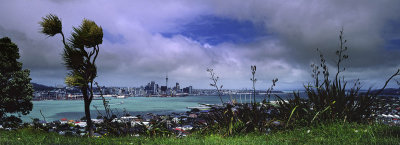 Windy day at Auckland, New Zealand