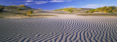 Ripples in the sand, Farewell Spit, Golden Bay, New Zealand