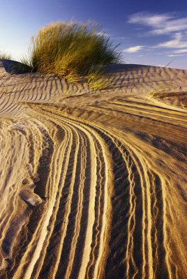 Evening light at Farewell Spit, Golden Bay, New Zealand