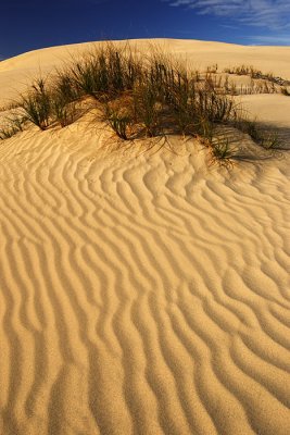 Te Paki sand dunes Northland, New Zealand