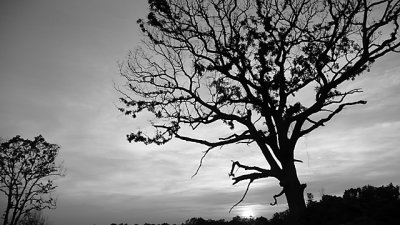 P1000273-s.jpg
