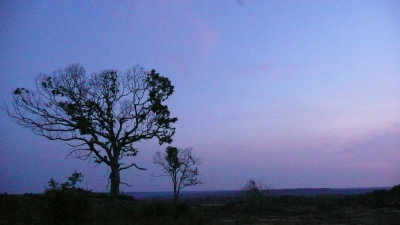 P1000319-a-s.jpg