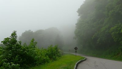 P1000490-s.jpg