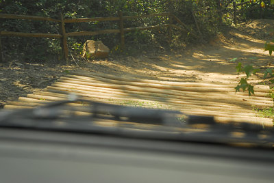 DSC_8292-s.jpg