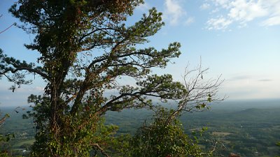 P1000995-s.jpg