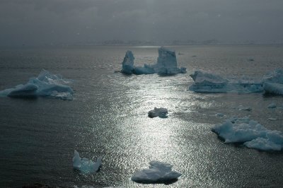 Huge icebergs in the evening light