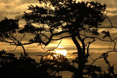 Pacific sunset, Panama