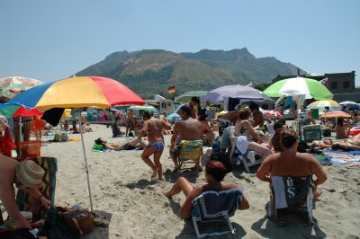 Fluepapir. Ischia
