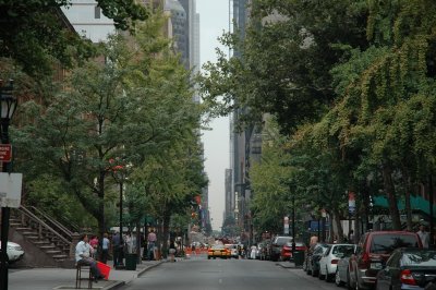 46. Street