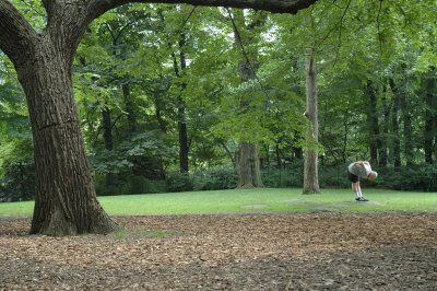 Morgengymnastik, Central Park