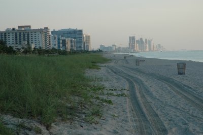 Early morning beach I