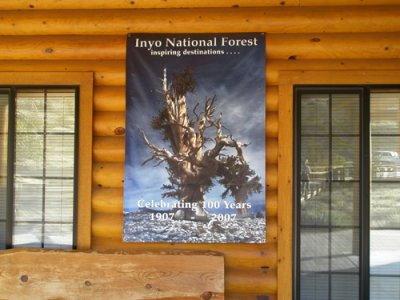 Inyo National Forest post