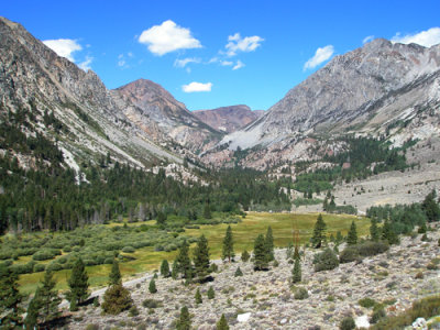 Route 395