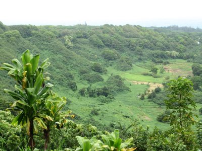 KailuaOverlook342.jpg