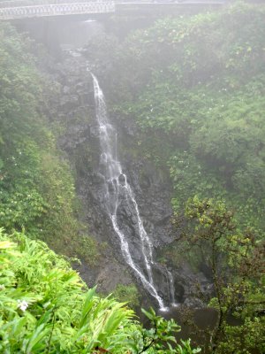 HanaRdFalls352.jpg