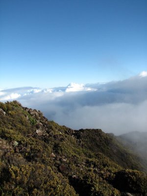 LeleiwiOverlook495.jpg