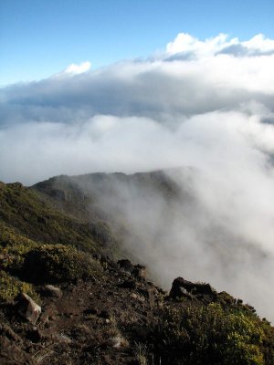 LeleiwiOverlook494.jpg