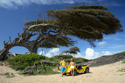 rvore do Amor, Maxaranguape-RN_MG_3715