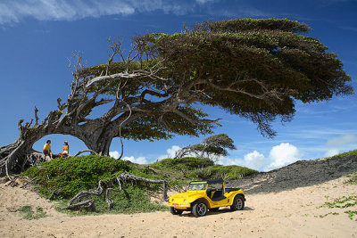 rvore do Amor, Maxaranguape-RN_MG_3721